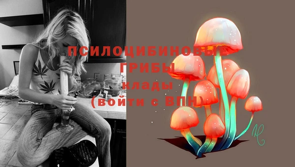 2c-b Верхний Тагил