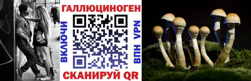 купить наркотик  MEGA ССЫЛКА  Галлюциногенные грибы MAGIC MUSHROOMS  Никольское 